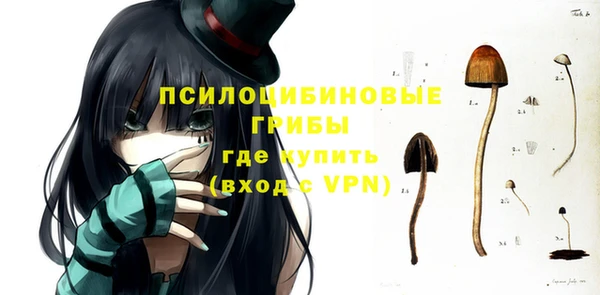 МДМА Осташков