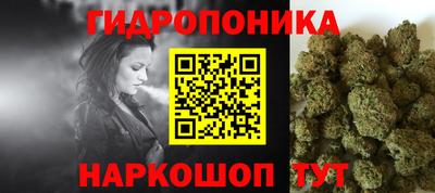 spice Дубна