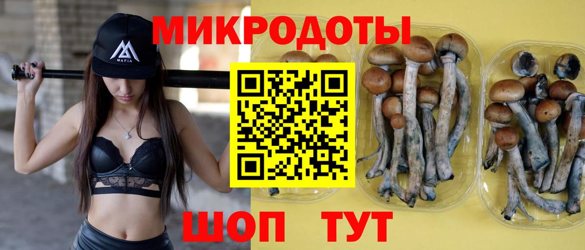 Советская Гавань  Галлюциногенные грибы прущие грибы  Вход с VPN  Псилоцибиновые грибы мицелий 